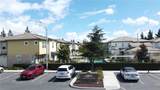 2343 Via Veranda - Photo 21