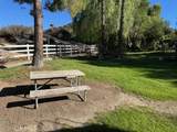 45525 Highway 79 Site 201 - Photo 3