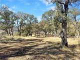 20560 Solar Ridge - Photo 14