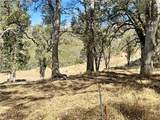 20560 Solar Ridge - Photo 7