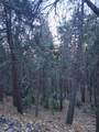 0 Reservoir - Photo 1