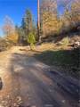29834 Juniper - Photo 5