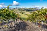 0 Peachy Canyon - Photo 8