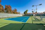 3139 Avenida Olmeda - Photo 8