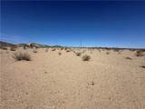 68732 Indian - Photo 2