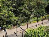 5 Yellow Brick Road - Photo 69