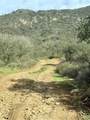  De Luz Murrieta - Photo 13