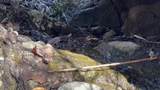  De Luz Murrieta - Photo 14