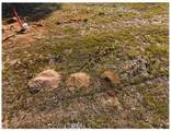 27277 Garbani - Photo 18