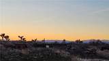 49019 120th Street - Photo 63