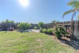 207 Riesling Vines Street - Photo 31