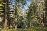 27434 White Fir - Photo 27
