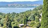 7282 Marin Street - Photo 1