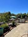 7282 Marin Street - Photo 11