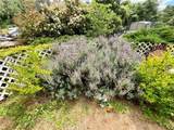 7282 Marin Street - Photo 21