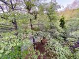 28201 Grenoble Lane - Photo 5