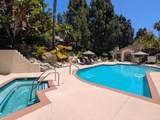 3525 Paseo De Elenita - Photo 23