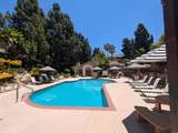 3525 Paseo De Elenita - Photo 24