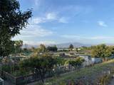 3021 Via Buena Vista - Photo 48