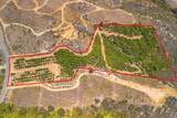 1 Los Gatos - Photo 5