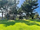 26972 Mill Pond Road - Photo 54