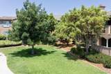 10910 Serafina Lane - Photo 22
