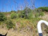 0 Meadow - Photo 1