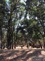 19200 Moon Ridge - Photo 1