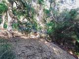 0 Live Oak Canyon Road - Photo 8