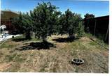 10419 Cimmeron Trail Drive - Photo 26