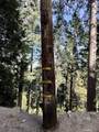 0 Burnt Mill Canyon - Photo 12
