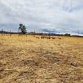 0 Black Mountain - Photo 8