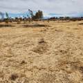 0 Black Mountain - Photo 10