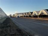 808 Albert - Photo 12