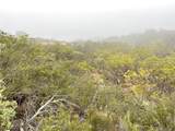 0 Quartz - Photo 6
