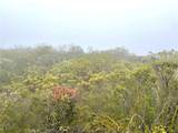 0 Quartz - Photo 9