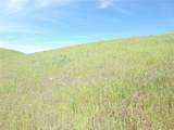 0 Douglas Rd. (Lot 41) - Photo 11