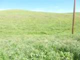 0 Douglas Rd. (Lot 41) - Photo 12
