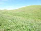 0 Douglas Rd. (Lot 41) - Photo 13