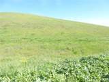 0 Douglas Rd. (Lot 41) - Photo 14