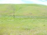 0 Douglas Rd. (Lot 41) - Photo 3