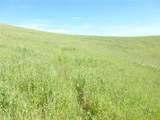 0 Douglas Rd. (Lot 41) - Photo 5