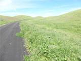 0 Douglas Rd. (Lot 41) - Photo 6