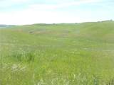 0 Douglas Rd. (Lot 42) - Photo 12