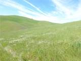 0 Douglas Rd. (Lot 42) - Photo 14