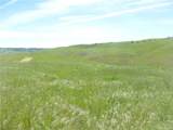 0 Douglas Rd. (Lot 42) - Photo 6