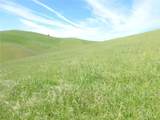 0 Douglas Rd. (Lot 42) - Photo 10