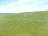 0 Douglas Rd. (Lot 43) - Photo 3