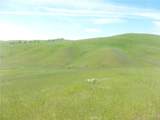 0 Douglas Rd. (Lot 43) - Photo 4