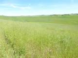 0 Douglas Rd. (Lot 43) - Photo 7